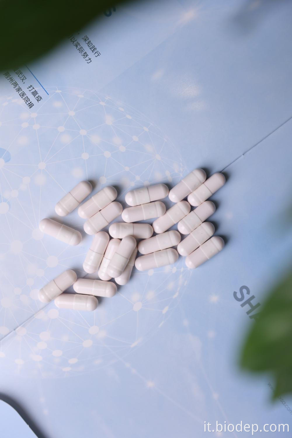 Leuconostoc Mesenteroides